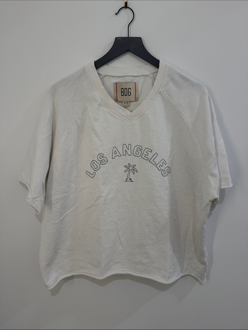 BDG Cream Los Angeles Graphic crop Tee with Palm